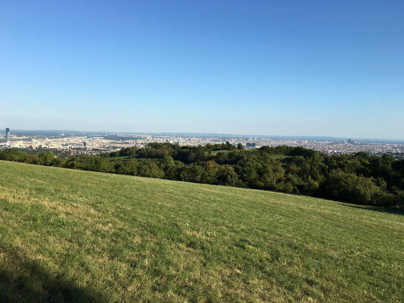 Blick vom Cobenzl auf Wien Ausflug zum Cobenzl - spielen, wandern, Tiere besuchen im blog.kinderinfowien.at