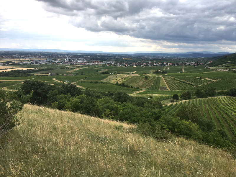 Ausflug zum Eichkogel kinderinfoblog