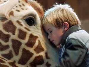 Kinderfilm Mein Freund, die Giraffe